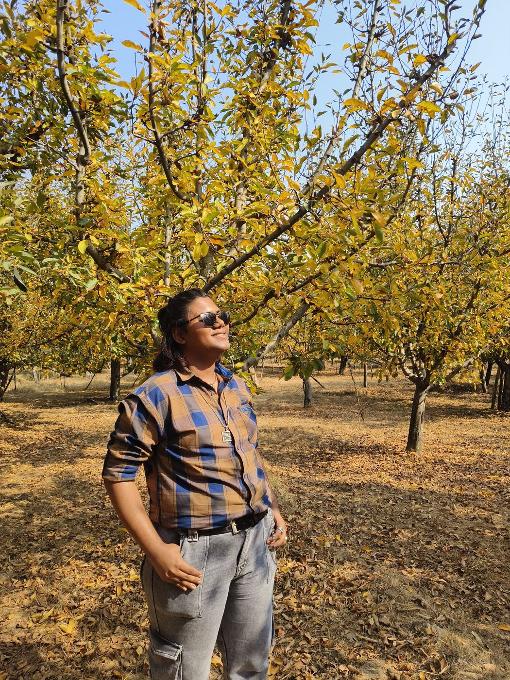 In an apple orchard